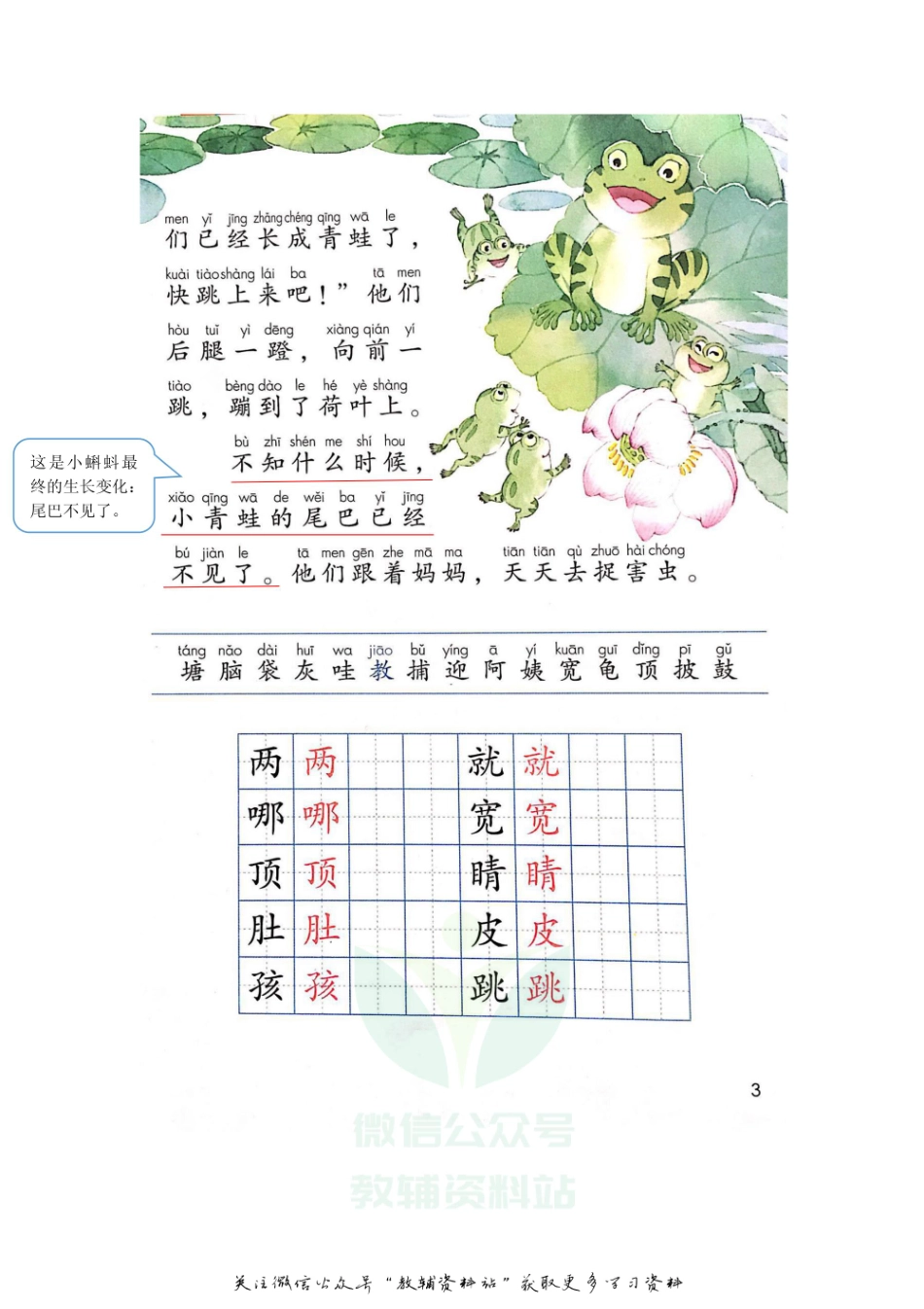 二年级上册语文部编版课堂笔记（飞翔版）.pdf_第3页