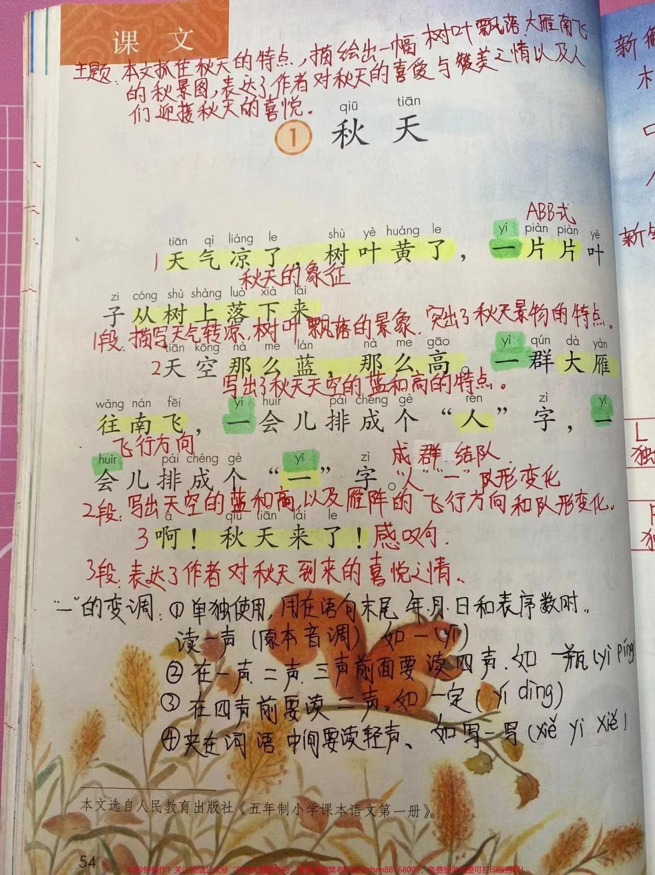 一年级上册语文《第四单元》详细笔记.pdf_第1页