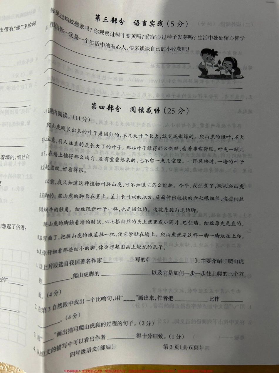四年级上册语文期中试卷#四年级上册语文 #期中考试 #语文.pdf_第3页
