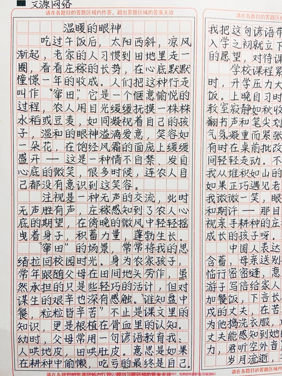 优秀作文《温暖的眼神》#作文 #图文伙伴计划 #抖音图文来了.pdf_第2页