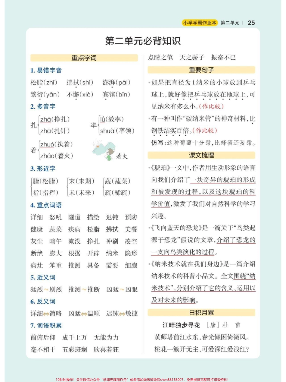 四年级上册语文重点总结#知识点总结 #小学语文.pdf_第2页