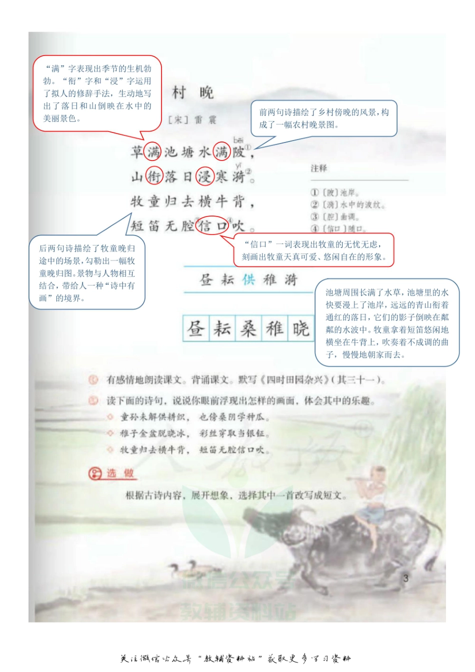 五年级下册语文部编版课堂笔记（飞翔版）.pdf_第3页