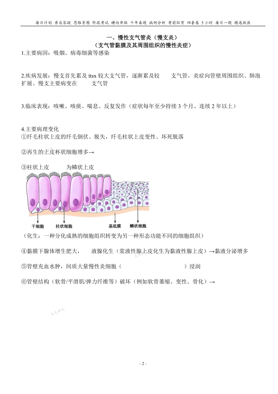 2024天天师兄病理 PDF讲义 无水印打印版本 汇总.pdf_第2页