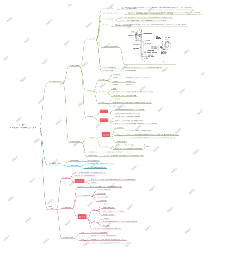 10.6 感觉传入通路和皮层代表区.pdf_第1页