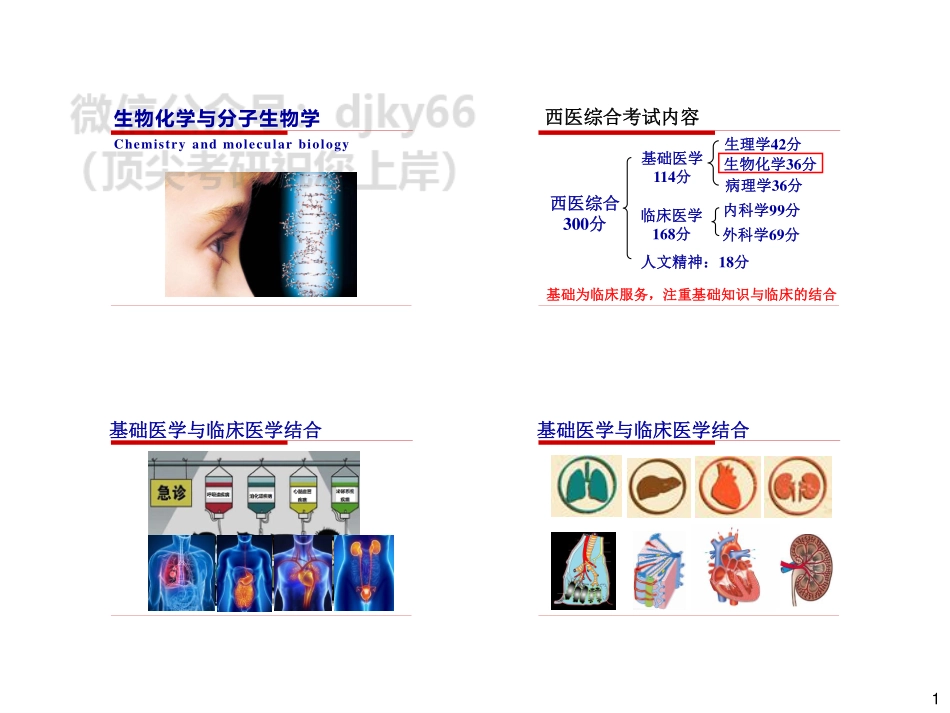 24西综全程班-基础讲义-生化1.pdf_第1页
