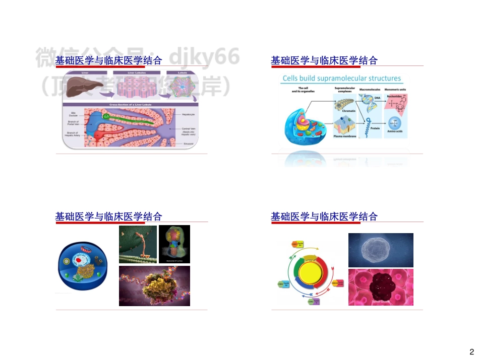 24西综全程班-基础讲义-生化1.pdf_第2页