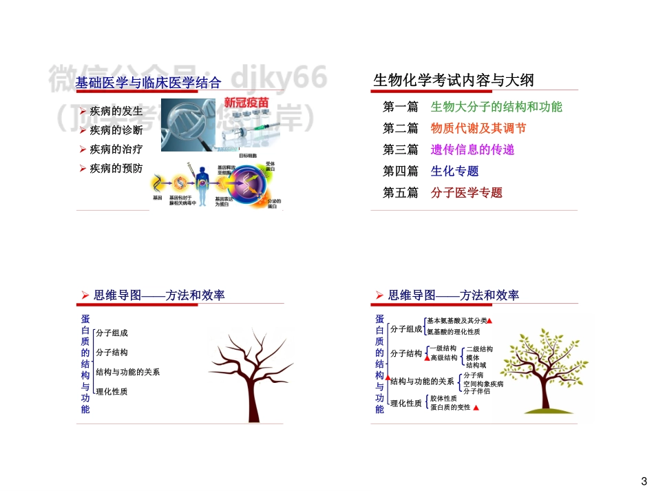 24西综全程班-基础讲义-生化1.pdf_第3页