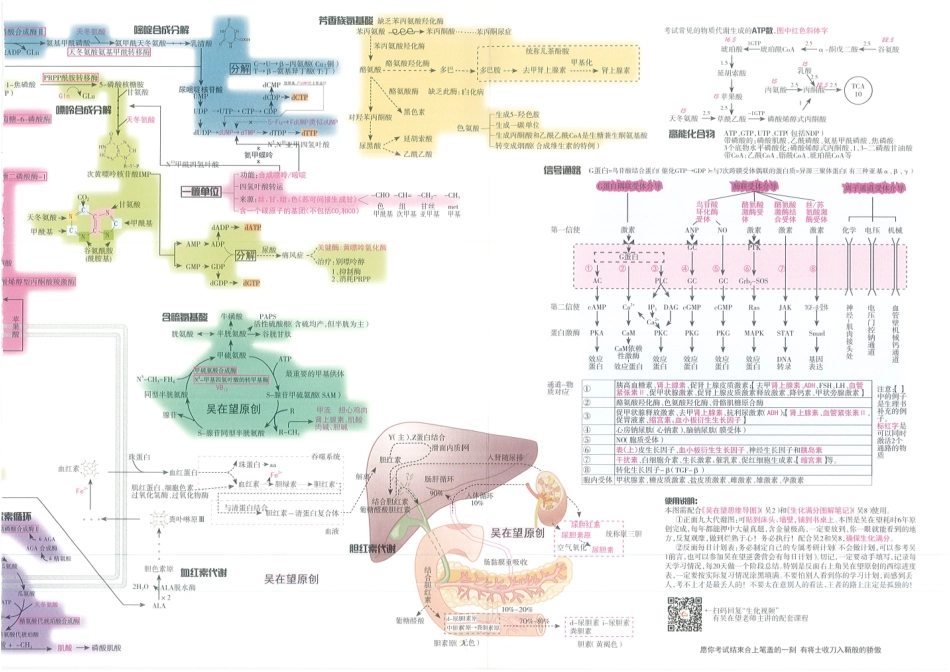 2024吴在望生物化学九大带鞋串联全图（上+下）.pdf_第3页