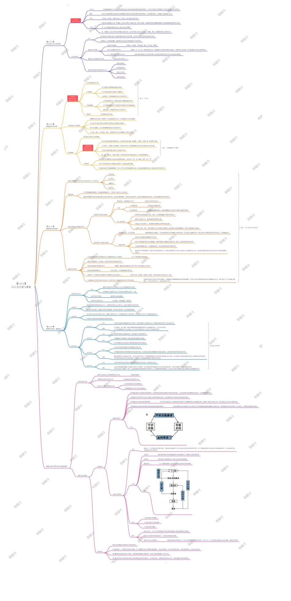11.1 内分泌与激素 .pdf_第1页