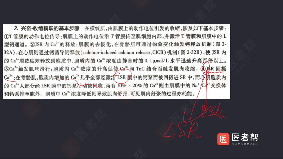 14-18生理学（2）(1).pdf_第2页