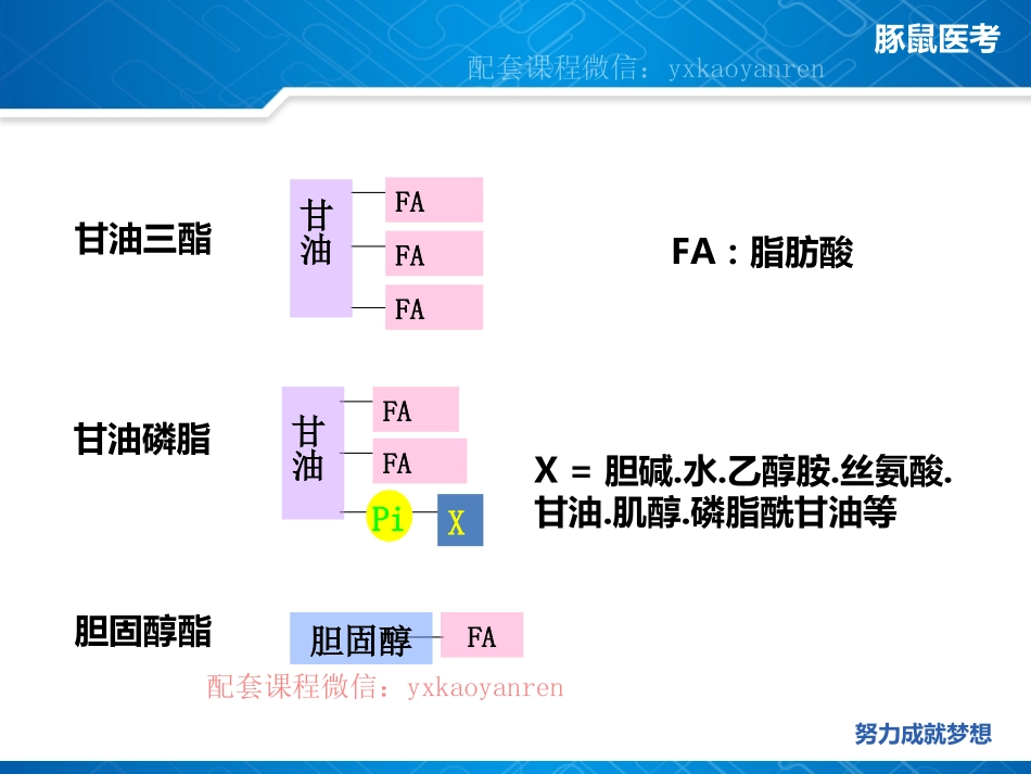 WM_5.生化第五章-脂代谢 .pdf_第3页