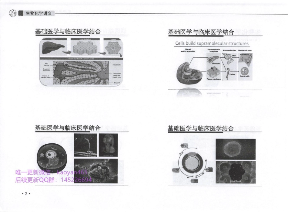 2024刘忠保西综生物化学讲义.pdf_第3页