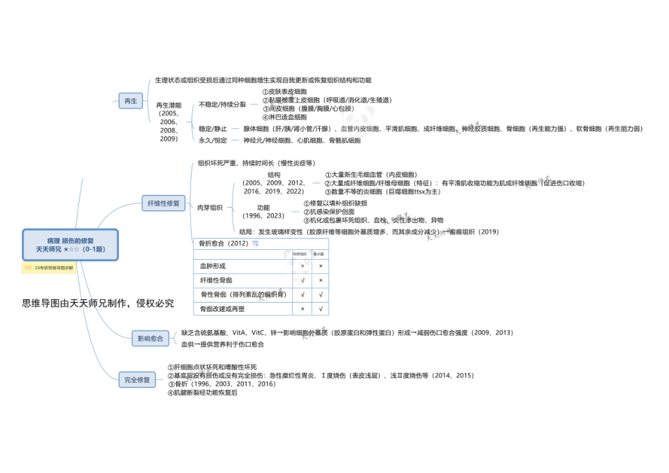 2024天天师兄病理 思维导图无水印打印版本 汇总.pdf_第3页