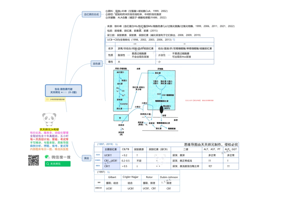 生化 胆色素代谢 思维导图.pdf_第1页
