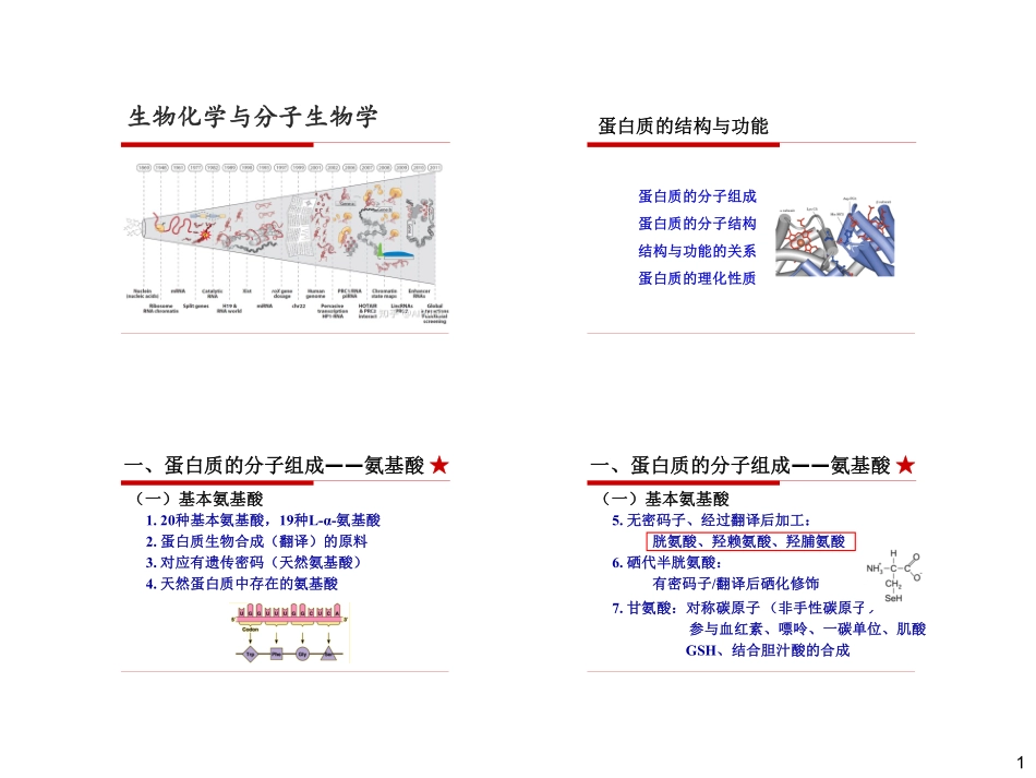 生化冲刺讲义-1.pdf_第1页