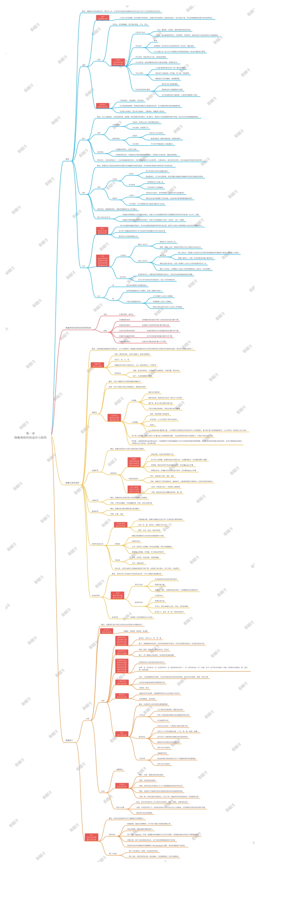 思维导图-第1章-细胞和组织的适应与损伤.pdf_第1页