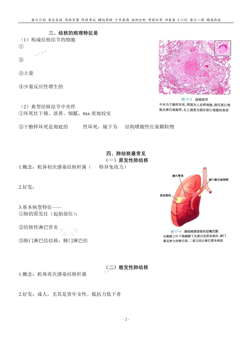 填空式讲义：病理 结核 核心-导图-真题-串联 天天师兄24考研 冲.pdf_第2页