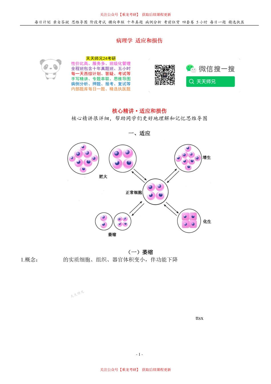 填空式讲义：病理 适应和损伤 核心-导图-真题-串联 天天师兄24考研 冲.pdf_第1页
