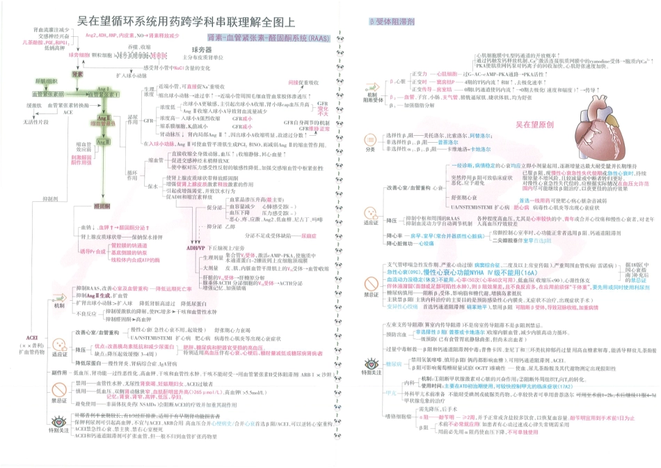2024吴在望循环系统用药跨学科串联理解全图（上+下）.pdf_第1页