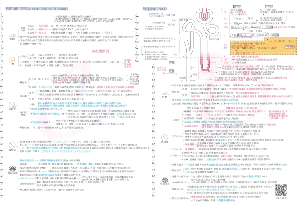 2024吴在望循环系统用药跨学科串联理解全图（上+下）.pdf_第3页