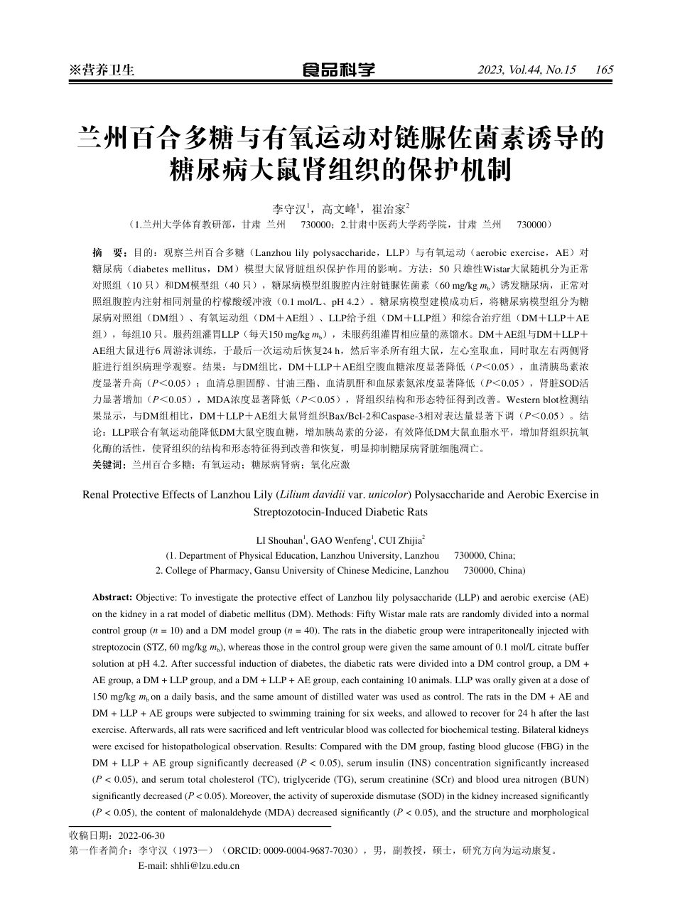 兰州百合多糖与有氧运动对链脲佐菌素诱导的糖尿病大鼠肾组织的保护机制.pdf_第1页