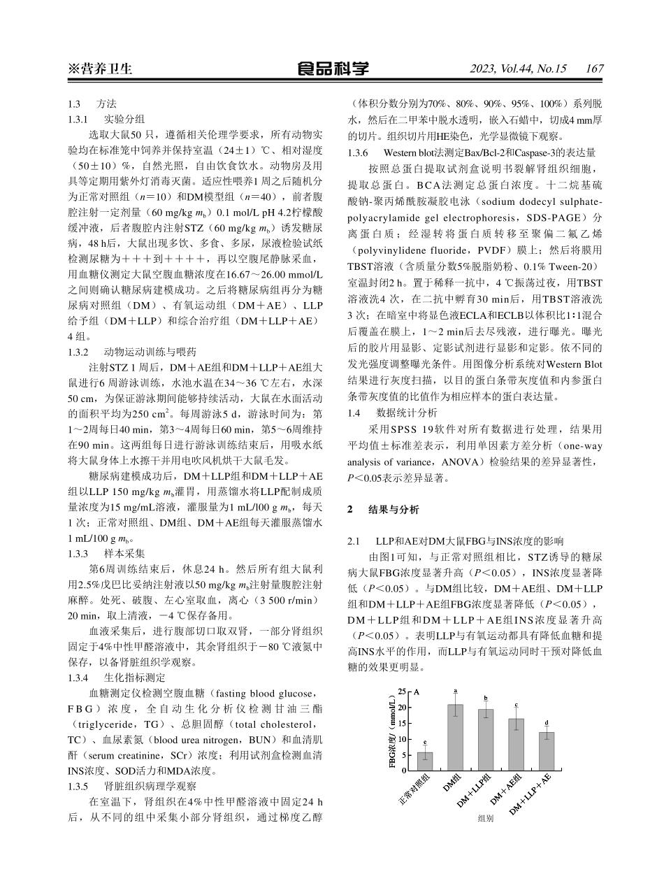 兰州百合多糖与有氧运动对链脲佐菌素诱导的糖尿病大鼠肾组织的保护机制.pdf_第3页