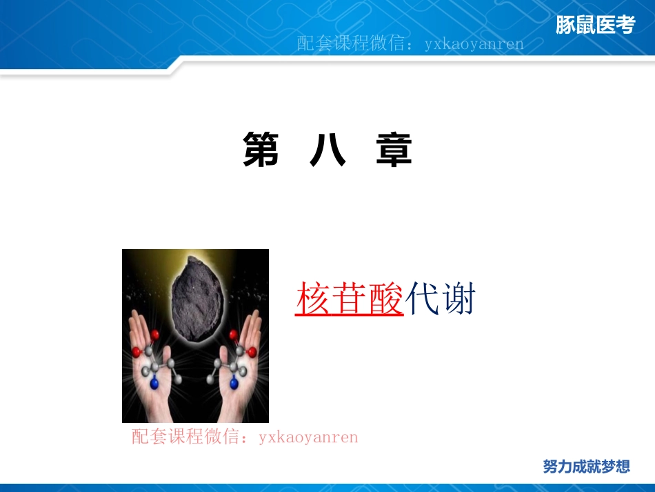 WM_8.生化第八章-核苷酸代谢 .pdf_第2页