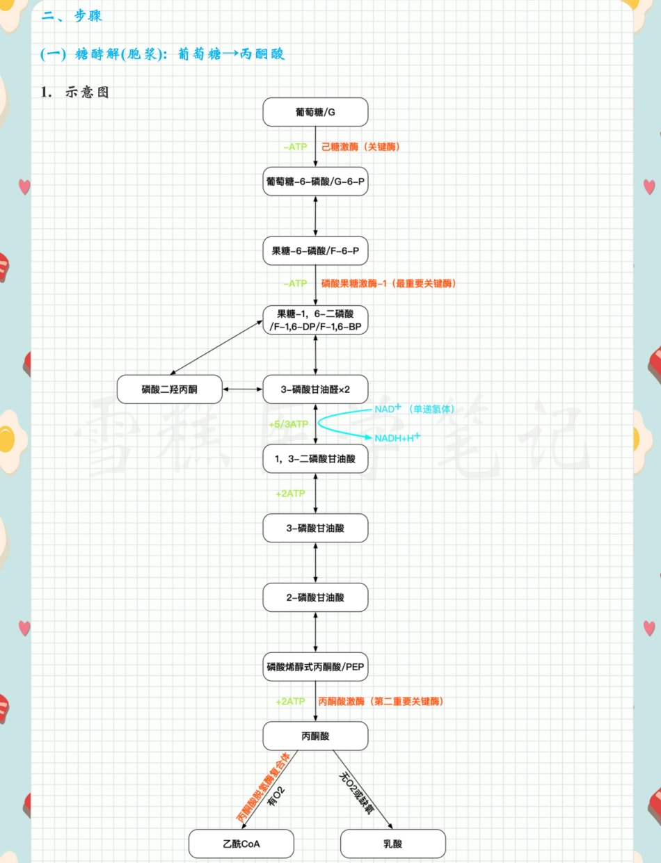 医学笔记-生化 .pdf_第2页