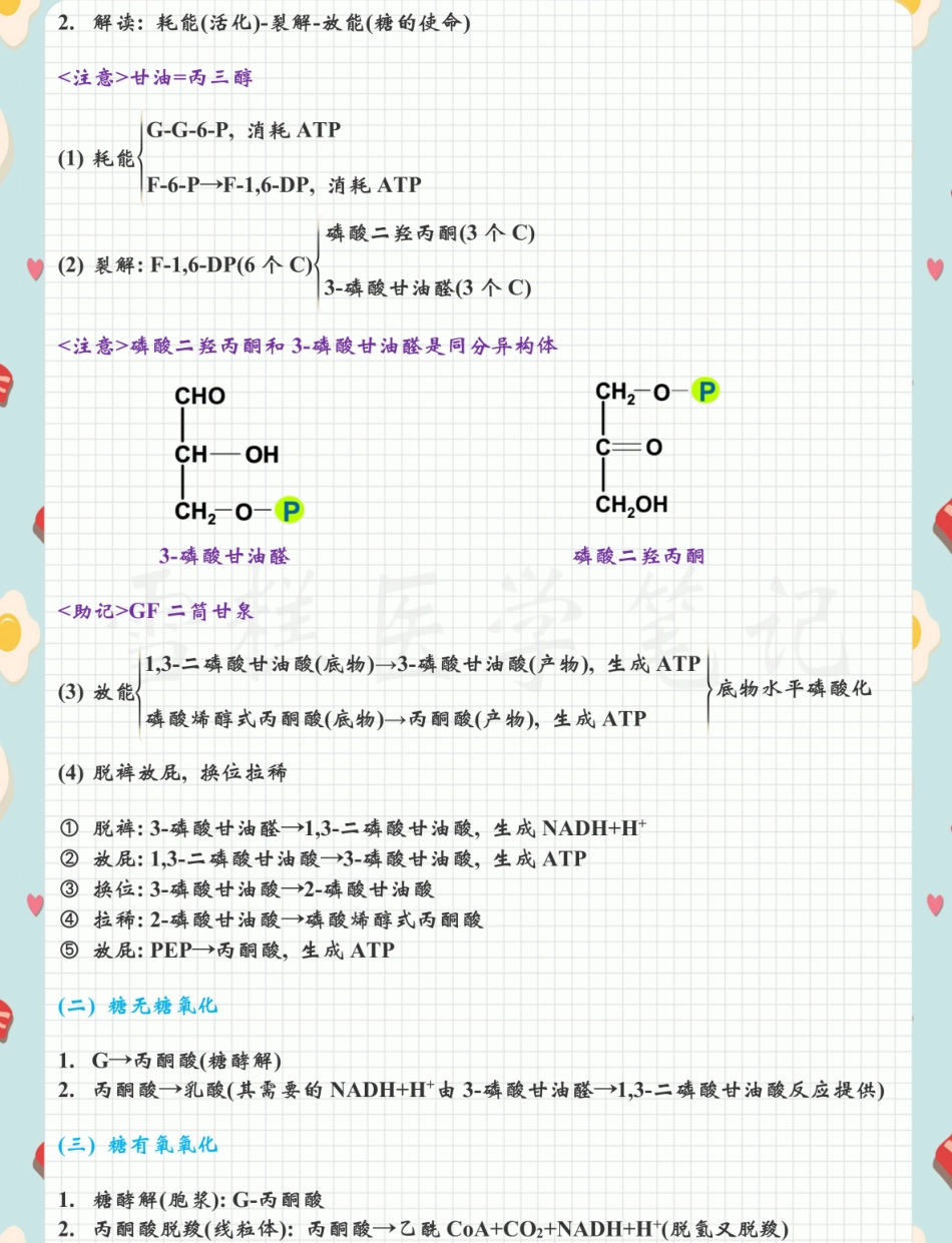 医学笔记-生化 .pdf_第3页
