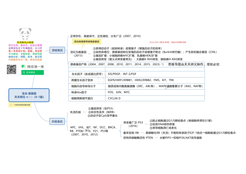 生化 癌基因 思维导图.pdf_第1页
