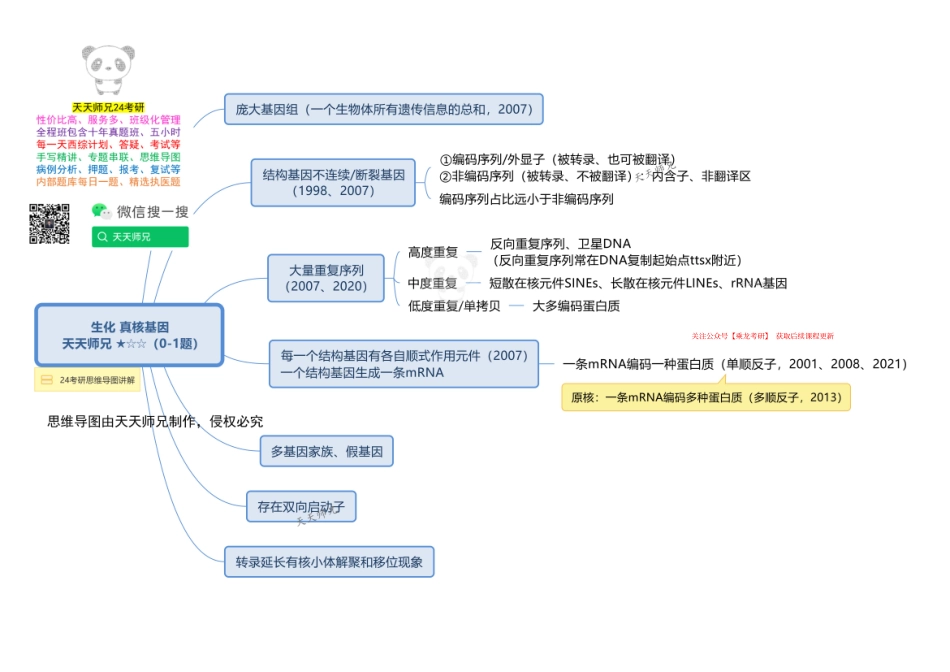 生化 真核基因 思维导图.pdf_第1页