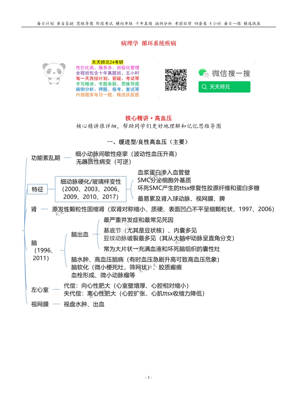 填空式讲义：病理 高血压 核心-导图-真题-串联 天天师兄24考研 冲.pdf_第1页
