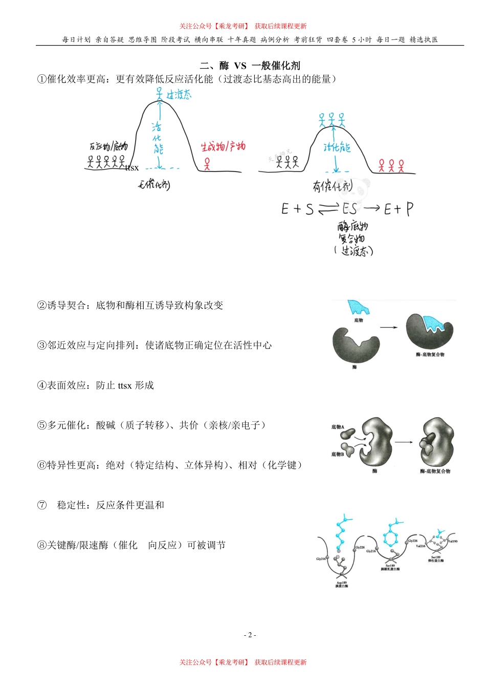 填空式讲义：生化 酶 核心-导图-真题-串联 天天师兄24考研 冲.pdf_第2页