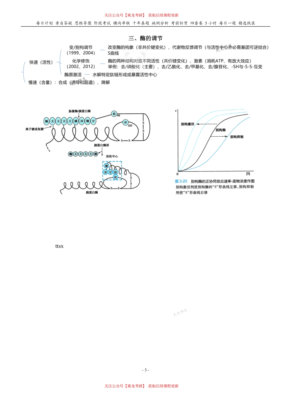 填空式讲义：生化 酶 核心-导图-真题-串联 天天师兄24考研 冲.pdf_第3页