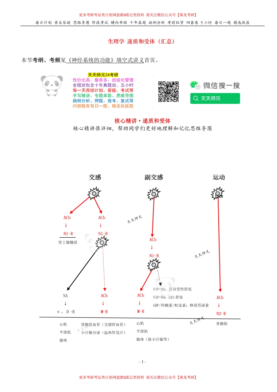 填空式讲义：生理 递质和受体（汇总） 核心-导图-真题-串联 天天师兄24考研 冲.pdf_第1页