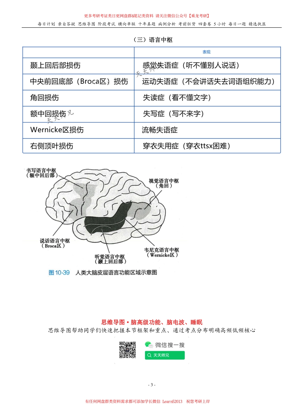 填空式讲义：生理 脑高级功能、脑电波、睡眠 核心-导图-真题-串联 天天师兄24考研 冲.pdf_第3页