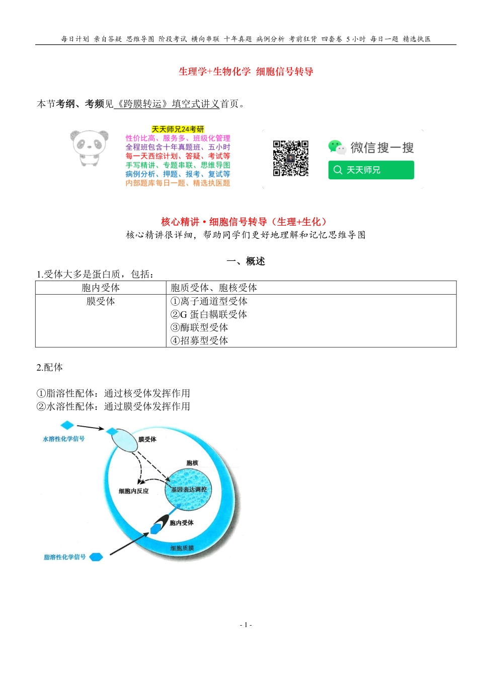 填空式讲义：生理+生化 细胞信号转导 核心-导图-真题-串联 天天师兄24考研 冲.pdf_第1页