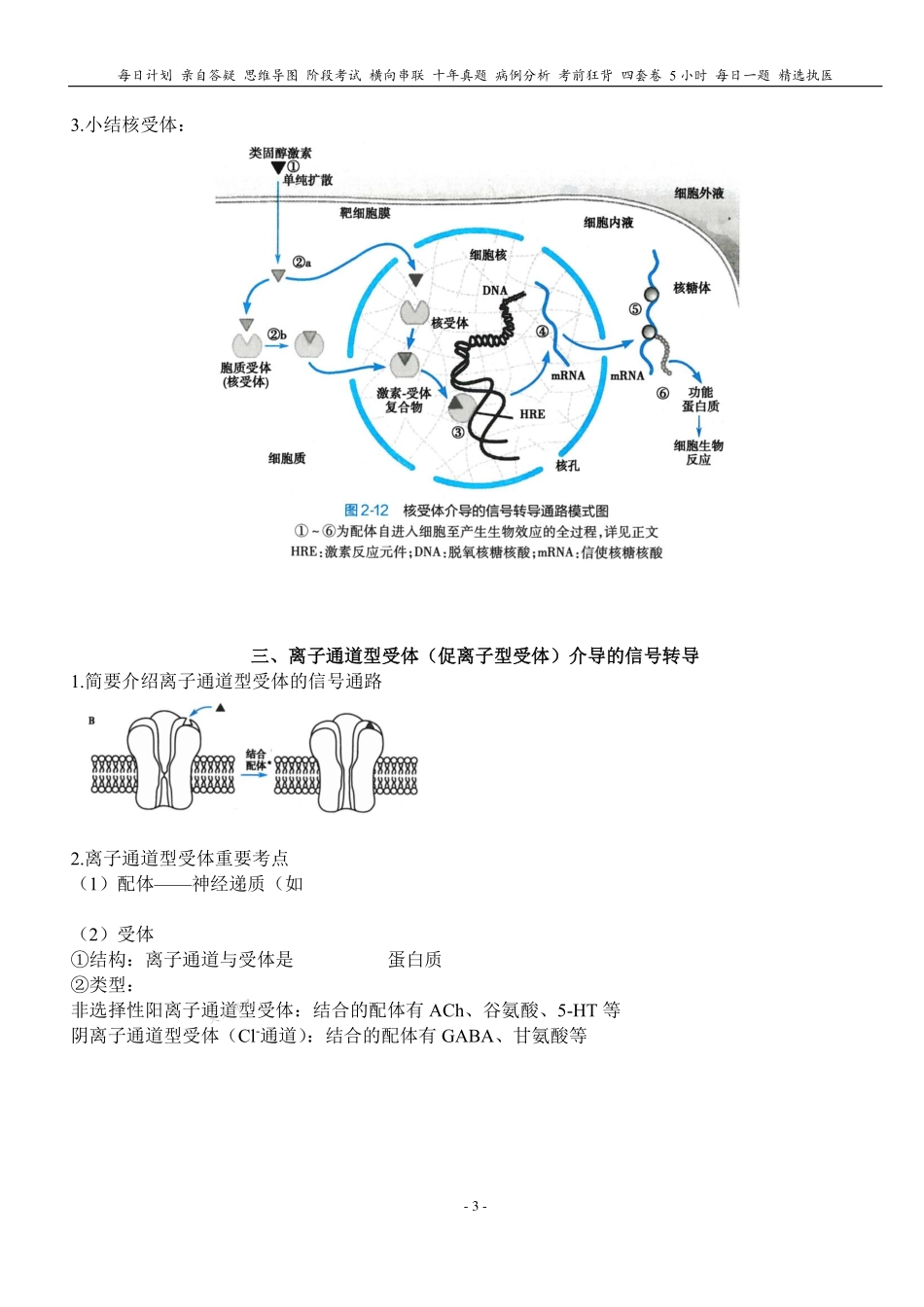填空式讲义：生理+生化 细胞信号转导 核心-导图-真题-串联 天天师兄24考研 冲.pdf_第3页