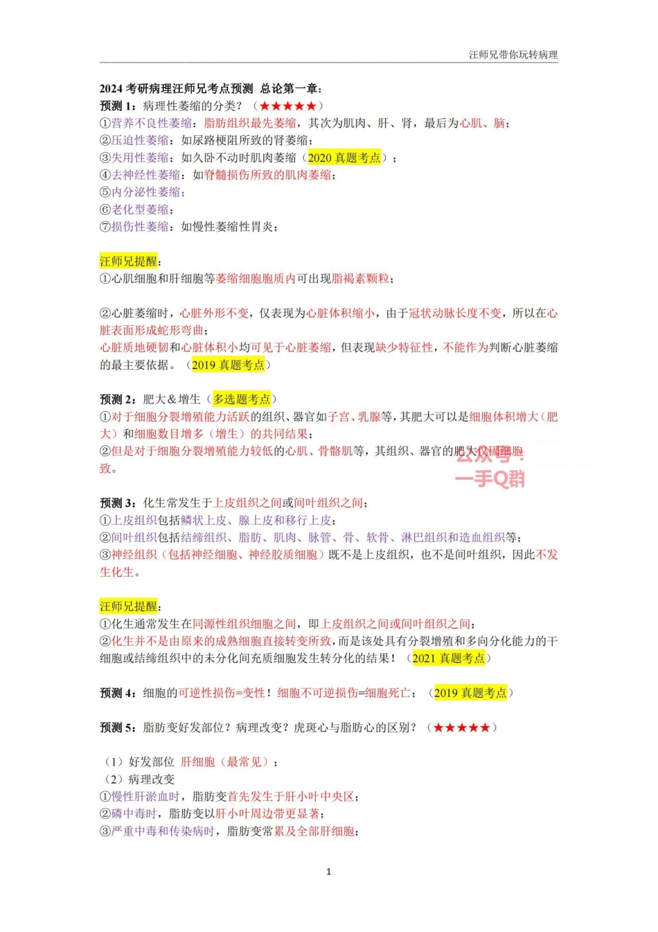 汪师兄 2024考研冲刺病理满分指南_00.pdf_第1页