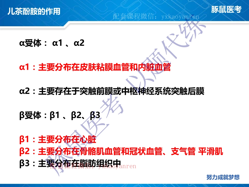 WM_1.内分泌-真题课-嗜铬细胞瘤 .pdf_第3页