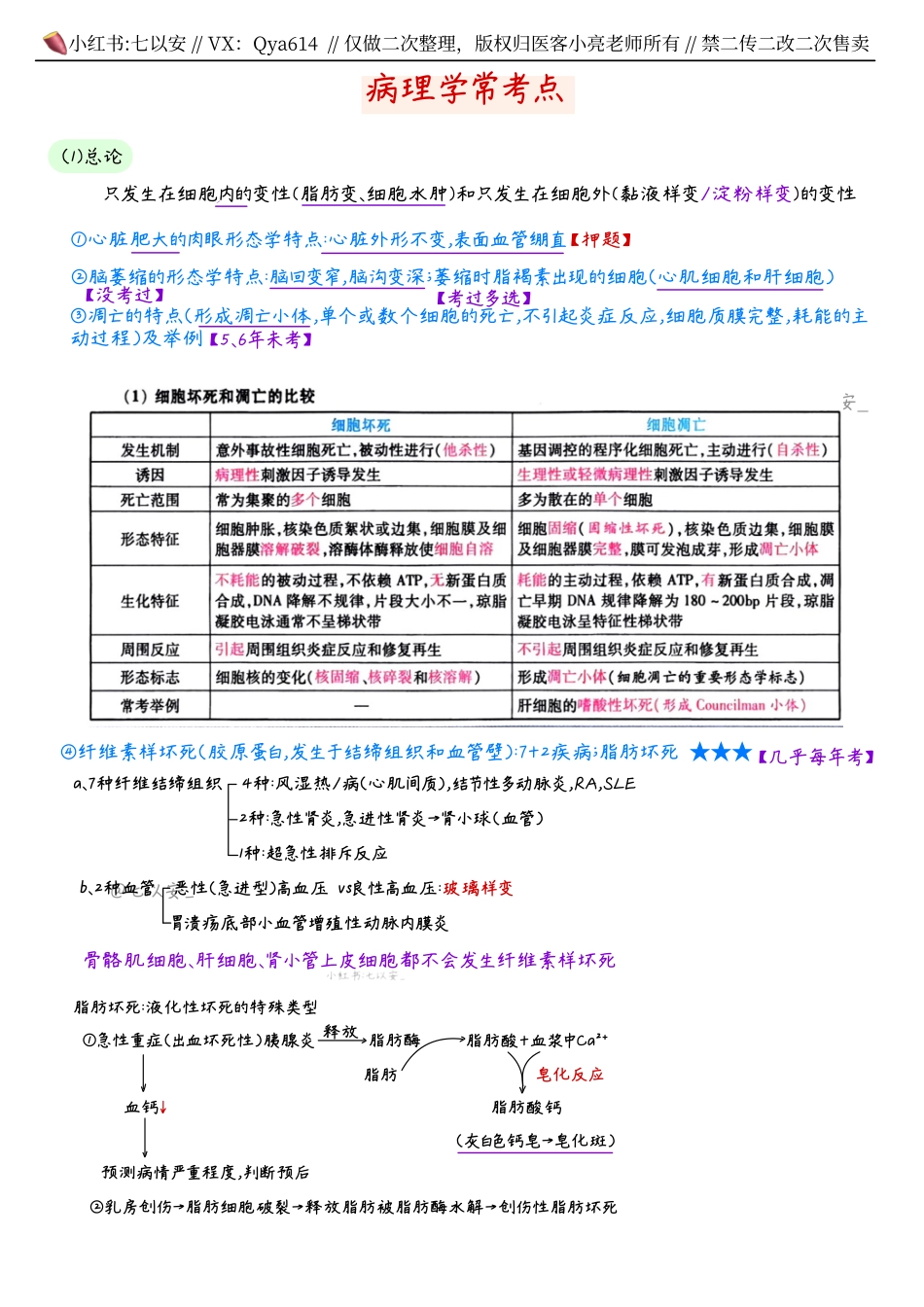 六小时笔记-病理.pdf_第1页