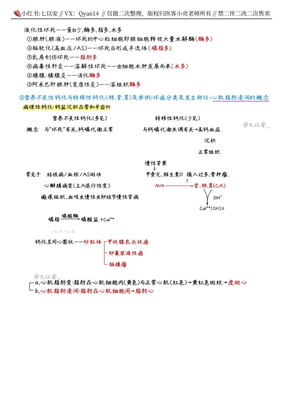 六小时笔记-病理.pdf_第2页