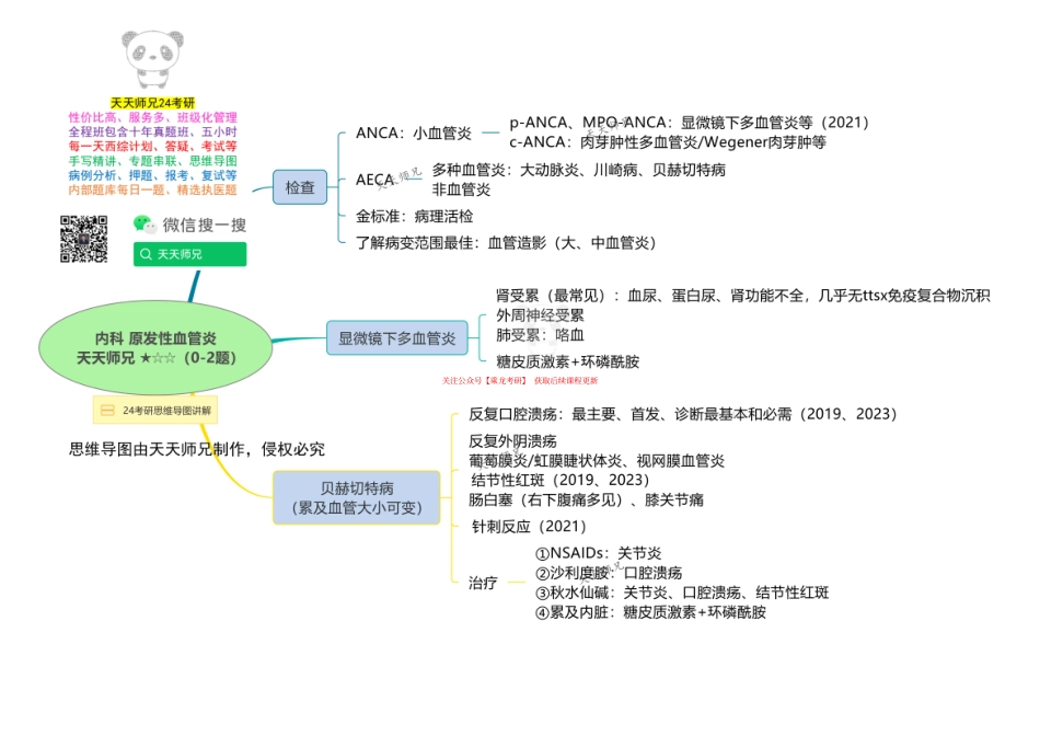 内科 原发性血管炎思维导图.pdf_第1页