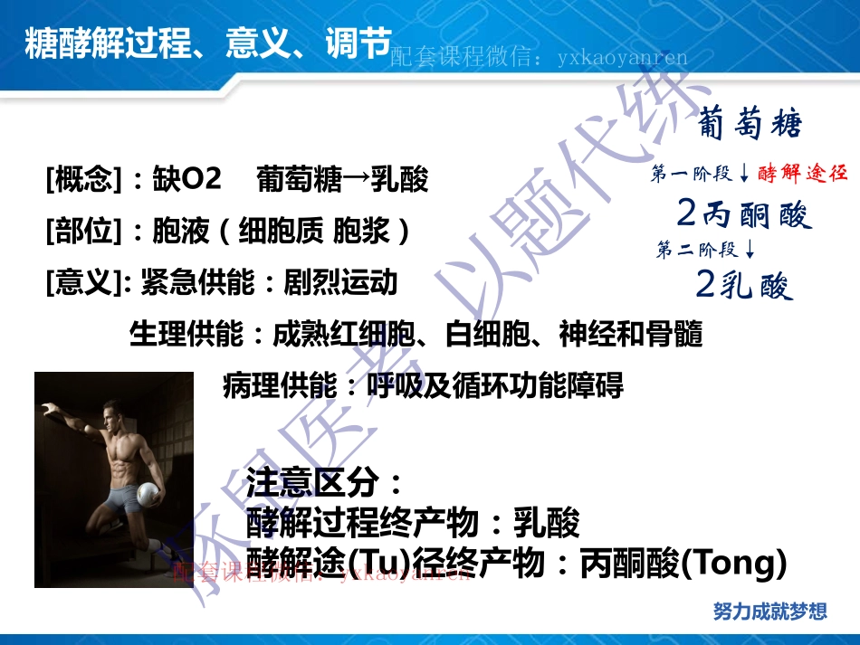 WM_4.生化第四章-糖代谢 .pdf_第3页