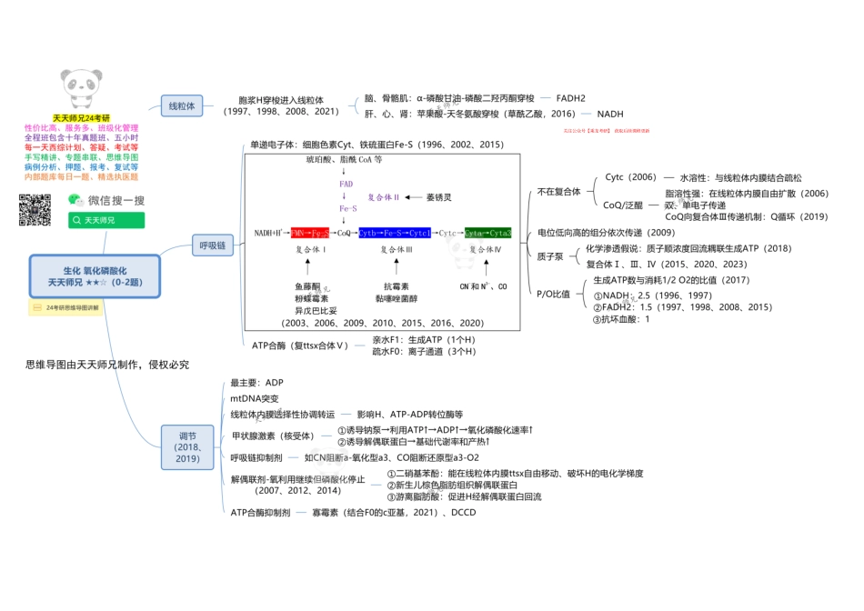 生化 氧化磷酸化 思维导图.pdf_第1页