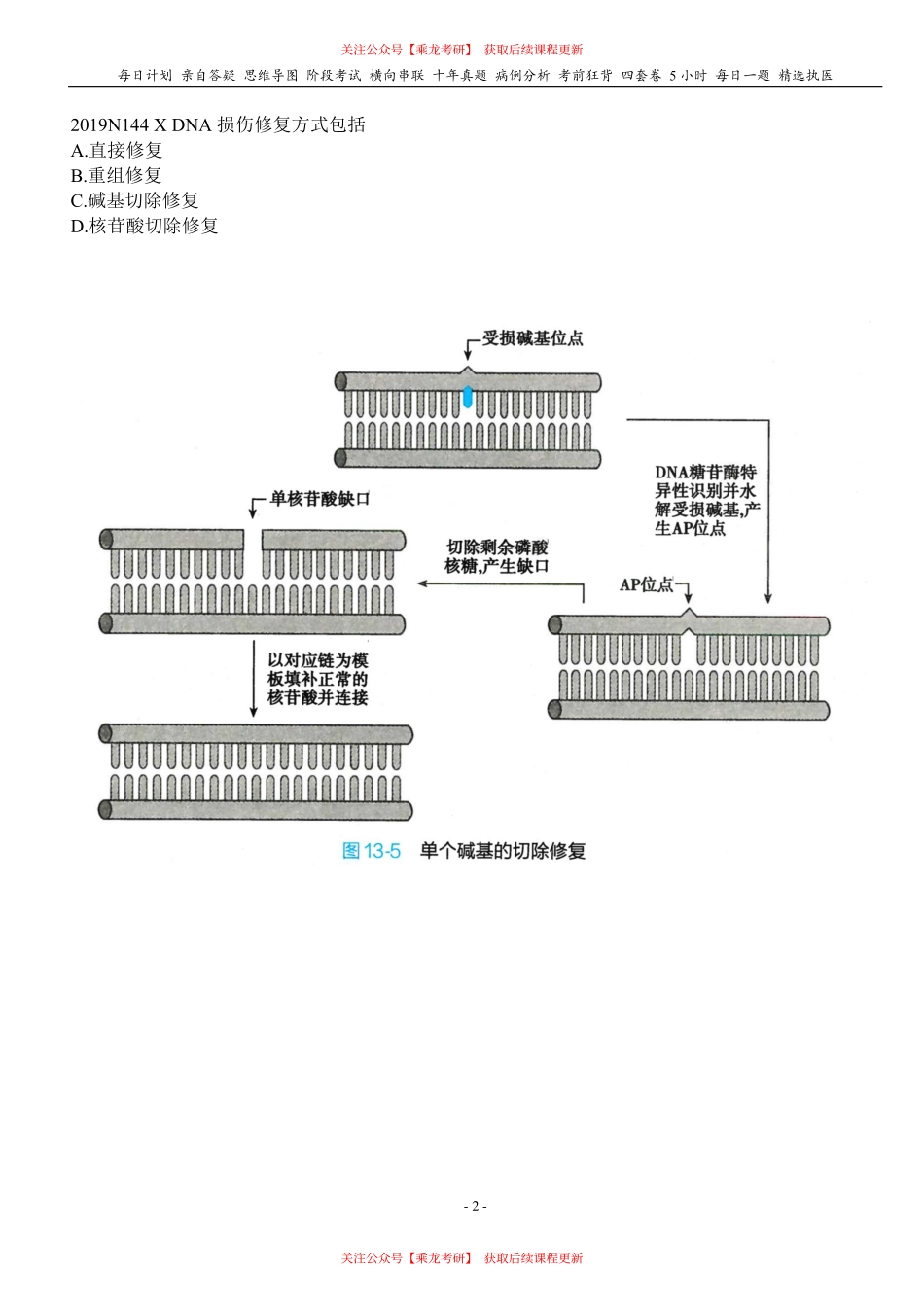 填空式讲义：生化 DNA损伤 核心-导图-真题-串联 天天师兄24考研 冲.pdf_第2页