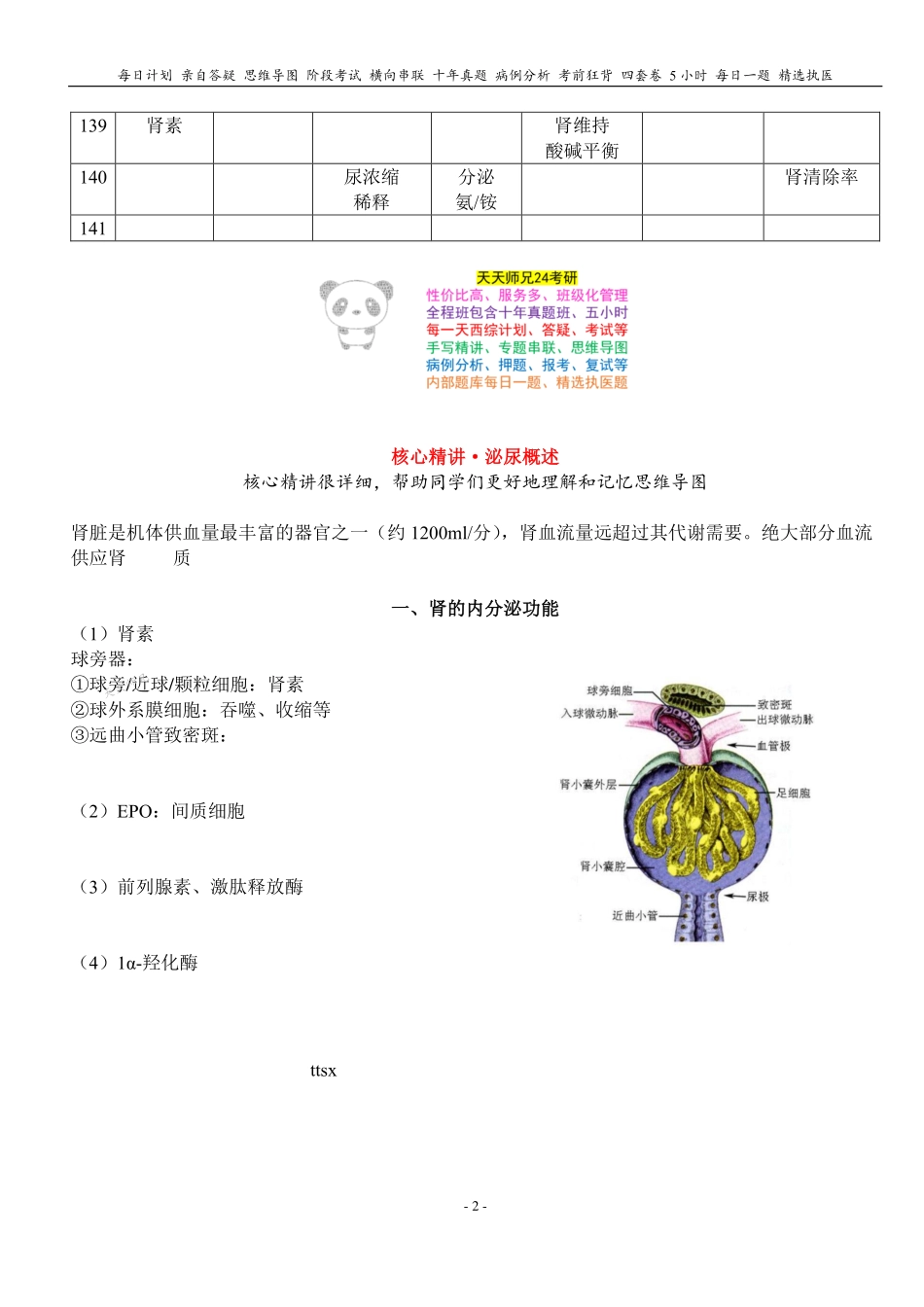 填空式讲义：生理 泌尿概述 核心-导图-真题-串联.pdf_第2页