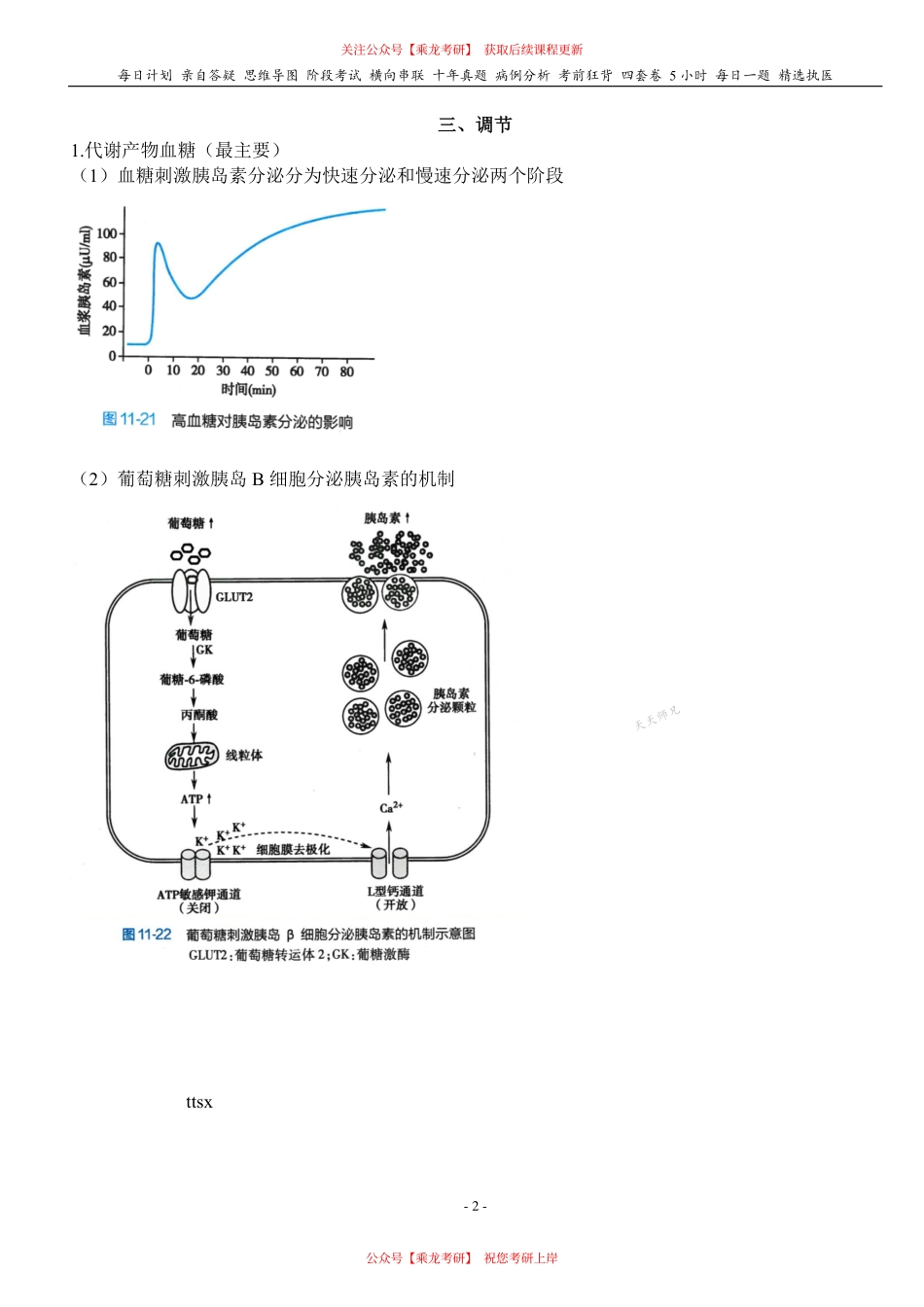 填空式讲义：生理 胰岛激素 核心-导图-真题-串联 天天师兄24考研 冲.pdf_第2页
