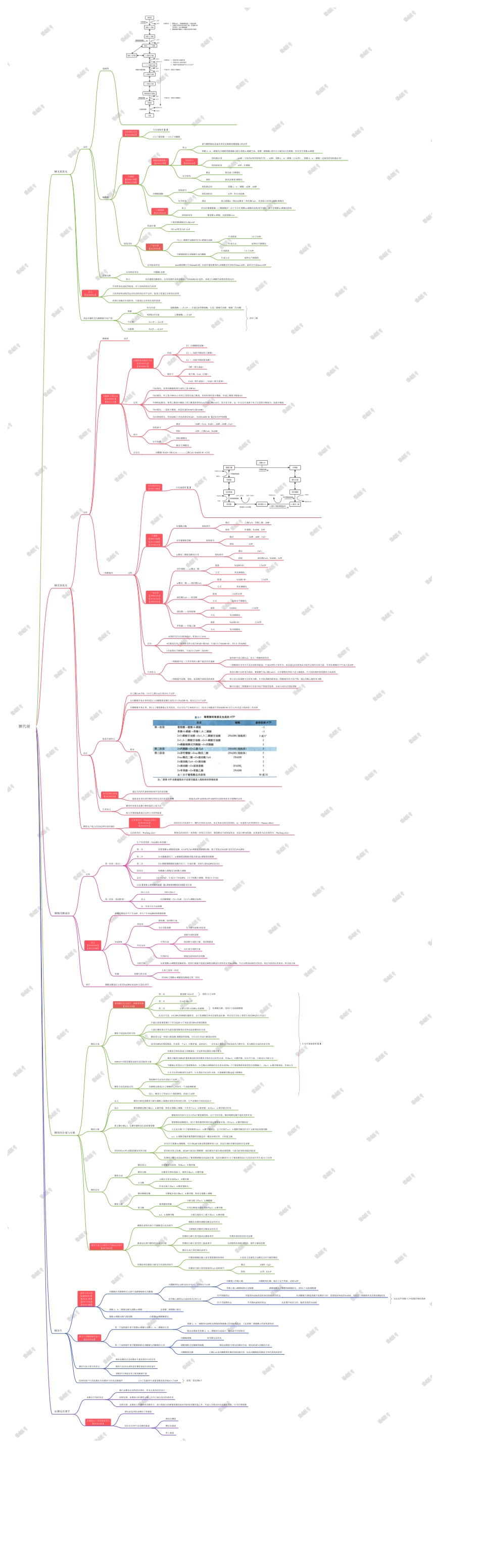 第二篇-第1章-糖代谢.pdf_第1页