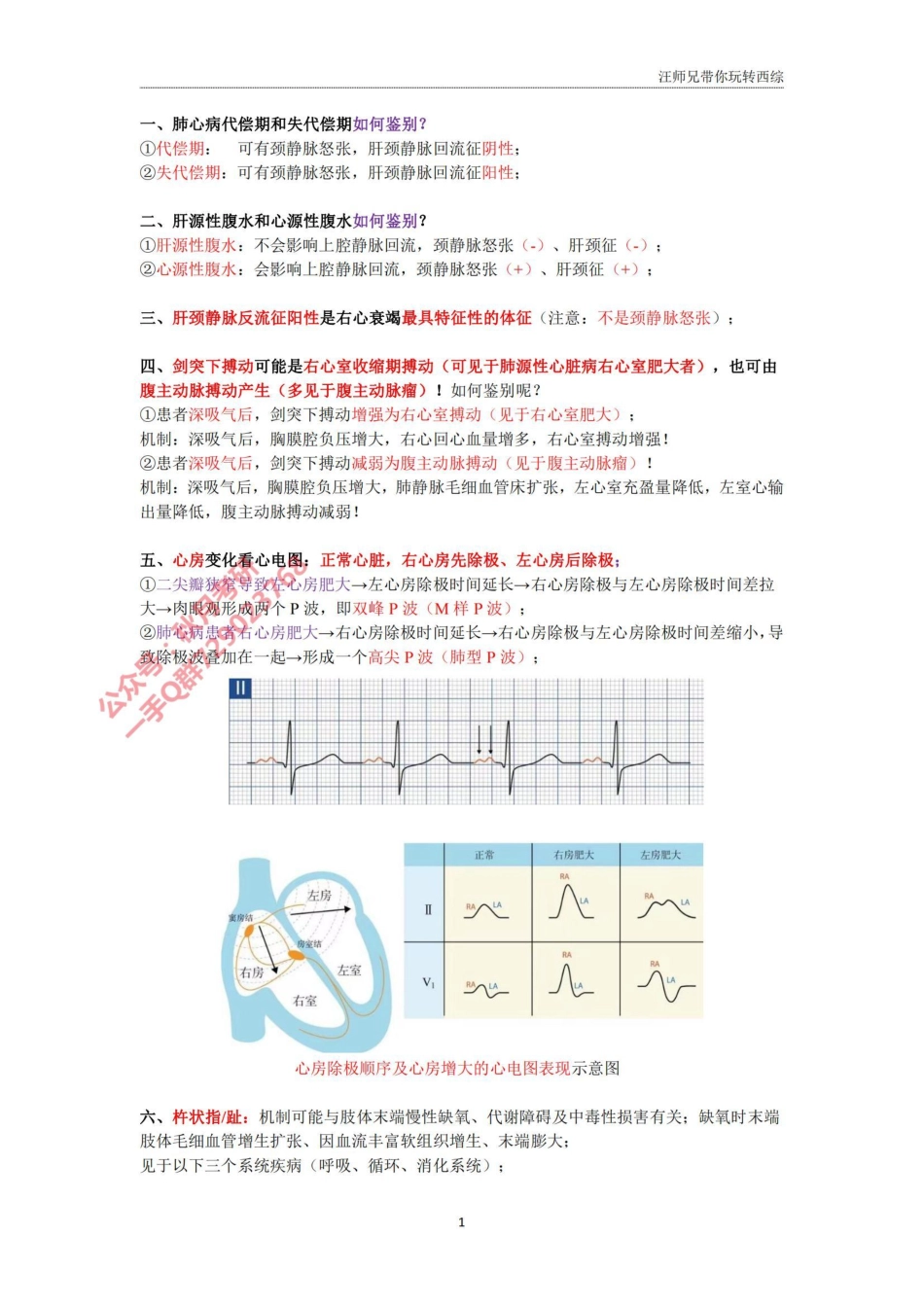 汪师兄 2024考研诊断常考总结.pdf_第1页